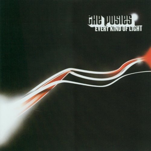Every Kind Of Light by The Posies