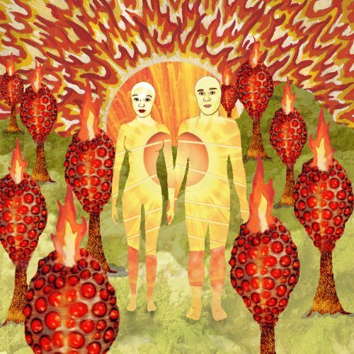 The Sunlandic Twins by Of Montreal
