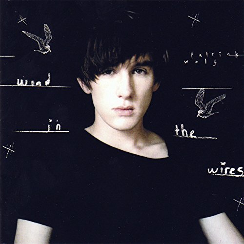 Wind In The Wires by Patrick Wolf