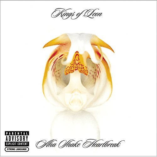 Aha Shake Heartbreak by Kings of Leon