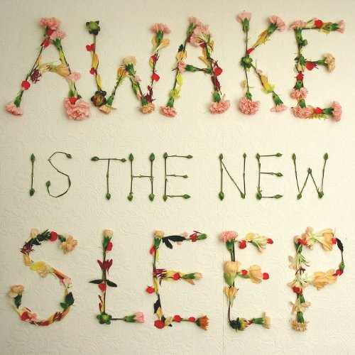 Awake Is The New Sleep by Ben Lee