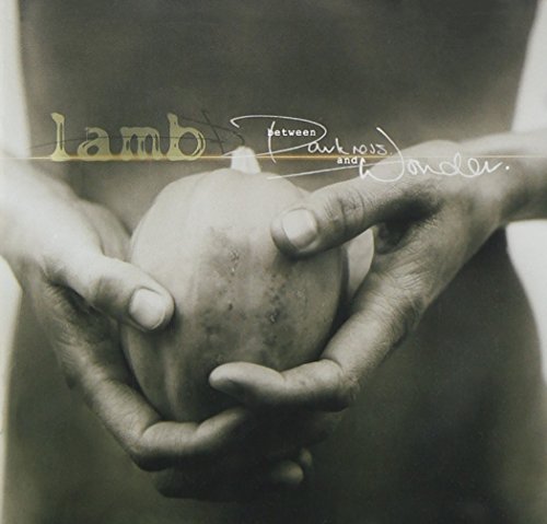 Between Darkness & Wonder by Lamb