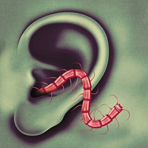 An Odd Entrances by Thee Oh Sees
