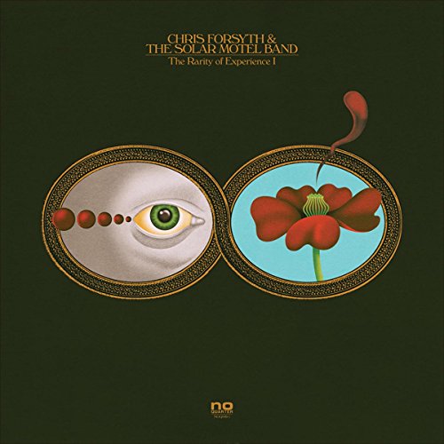The Rarity of Experience by Chris Forsyth & the Solar Motel Band