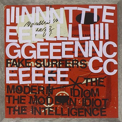 Fake Surfers by The Intelligence