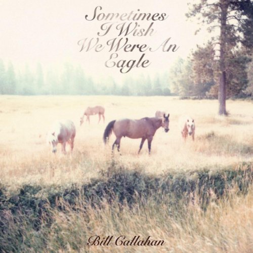 Sometimes I Wish We Were An Eagle by Bill Callahan