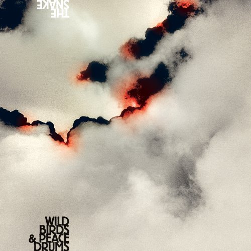 The Snake by Wildbirds & Peacedrums