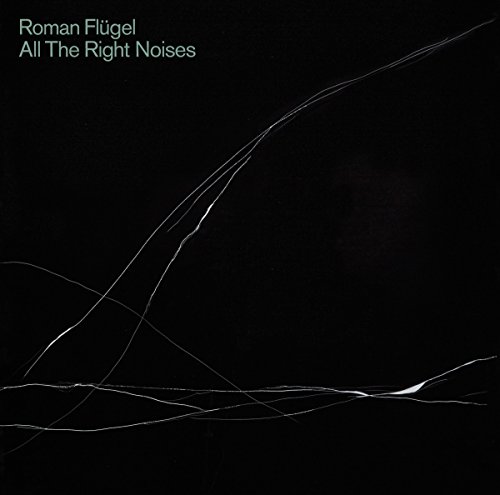 All the Right Noises by Roman Flügel