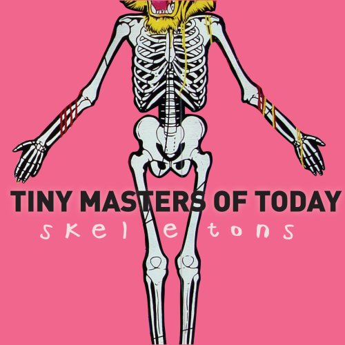 Skeletons by Tiny Masters Of Today