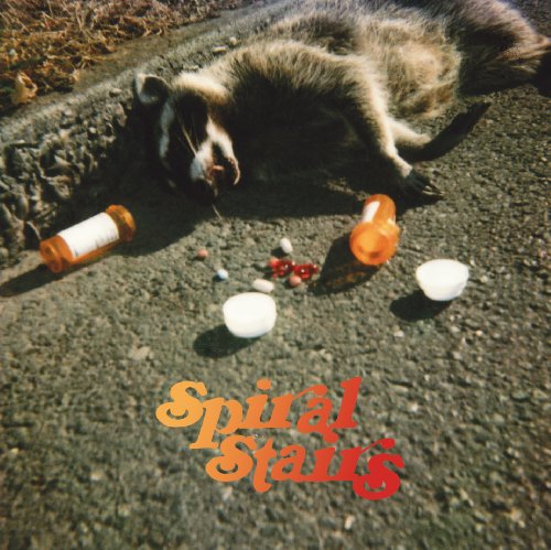 The Real Feel by Spiral Stairs