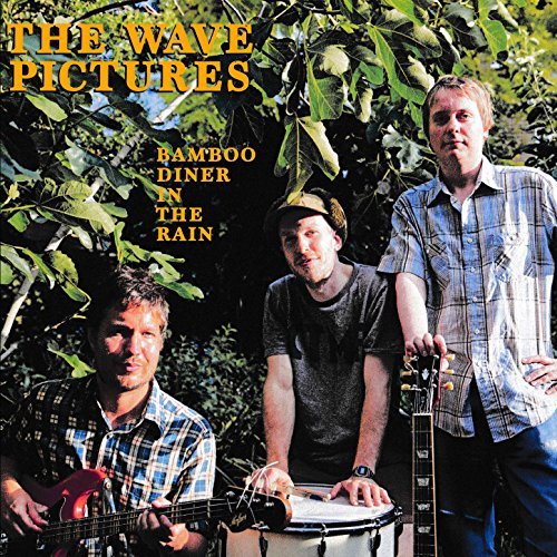 Bamboo Diner in the Rain by The Wave Pictures Album Cover