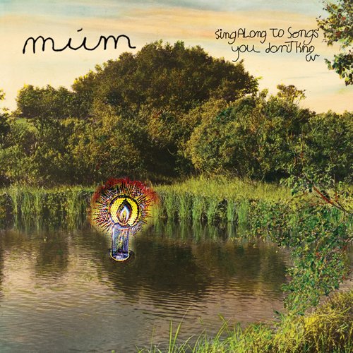 Sing Along To Songs You Don't Know by Mum