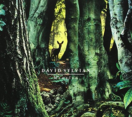 Manafon by David Sylvian