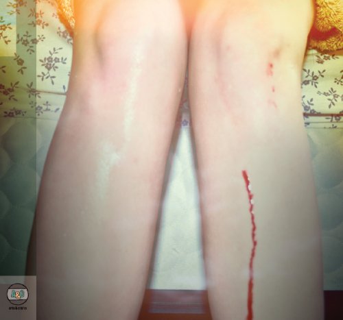Romance Is Boring by Los Campesinos!