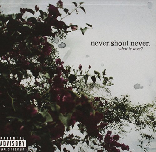 What Is Love by Never Shout Never