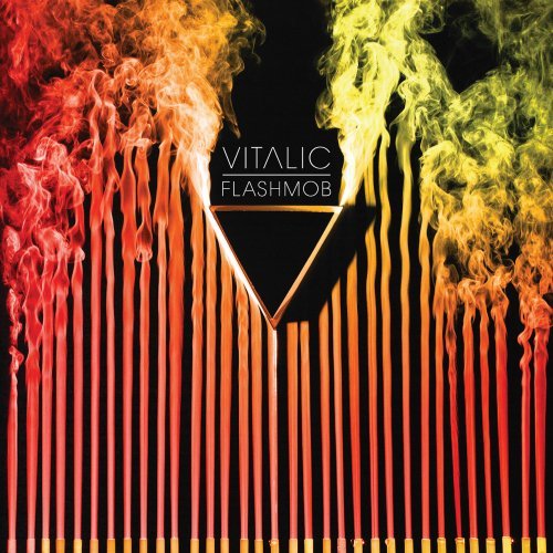Flashmob by Vitalic