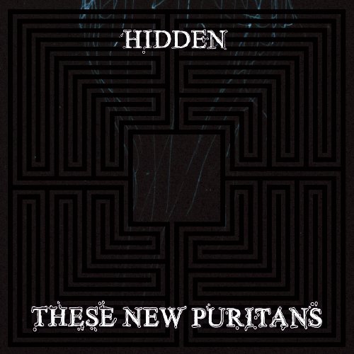 Hidden by These New Puritans