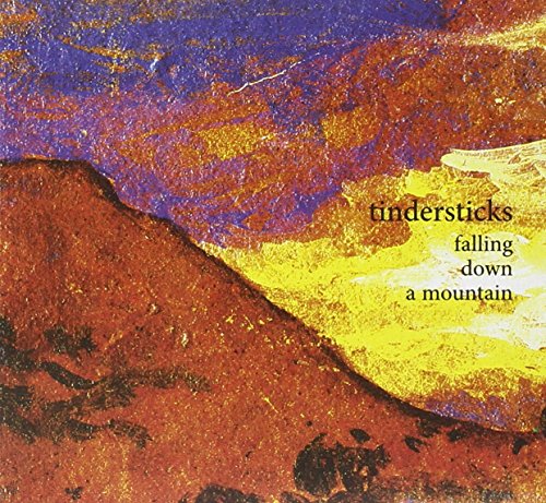 Falling Down A Mountain by Tindersticks