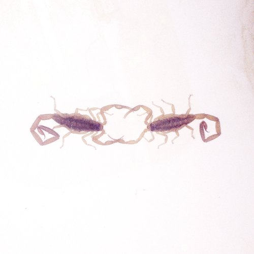 Wabi Sabi by Cross Record