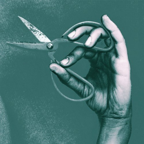Riposte by Buke and Gass