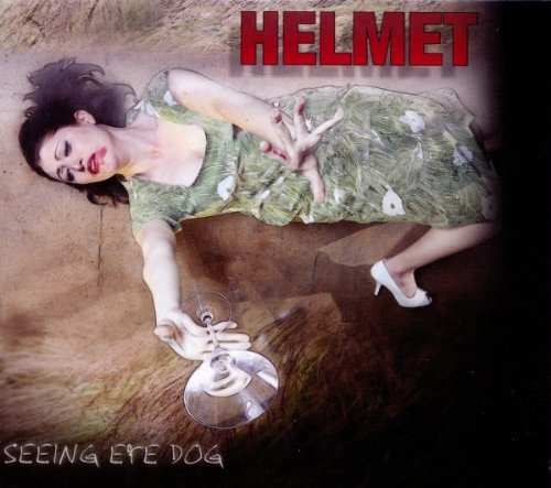 Seeing Eye Dog by Helmet