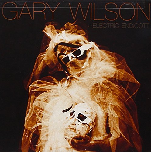 Electric Endicott by Gary Wilson