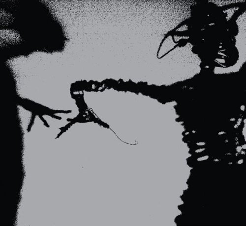 Dynamite Steps by The Twilight Singers
