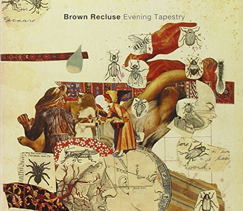 Evening Tapestry by Brown Recluse