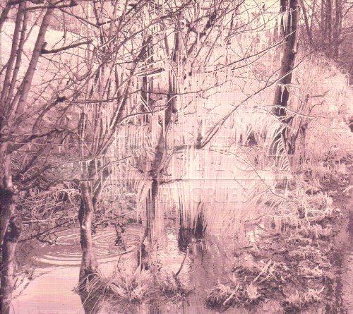 Violet Cries by Esben and the Witch