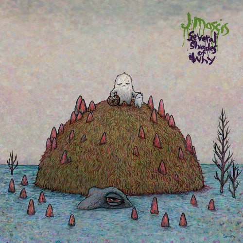 Several Shades of Why by J Mascis