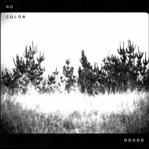 No Color by The Dodos