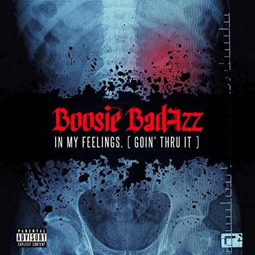 In My Feelings (Goin' Thru It) by Boosie Badazz
