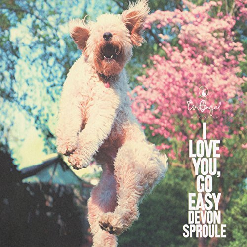 I Love You Go Easy by Devon Sproule