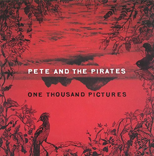 One Thousand Pictures by Pete & the Pirates