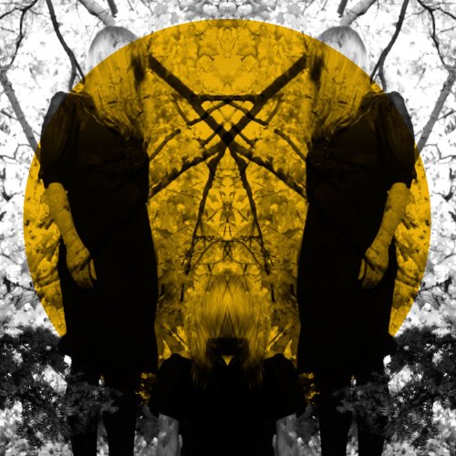 Feel It Break by Austra