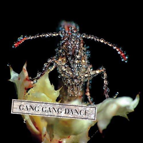 Eye Contact by Gang Gang Dance