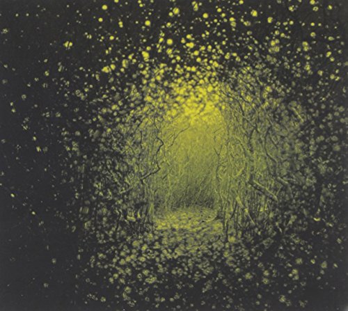 Burst Apart by The Antlers
