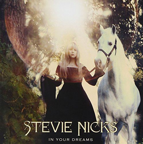 In Your Dreams by Stevie Nicks
