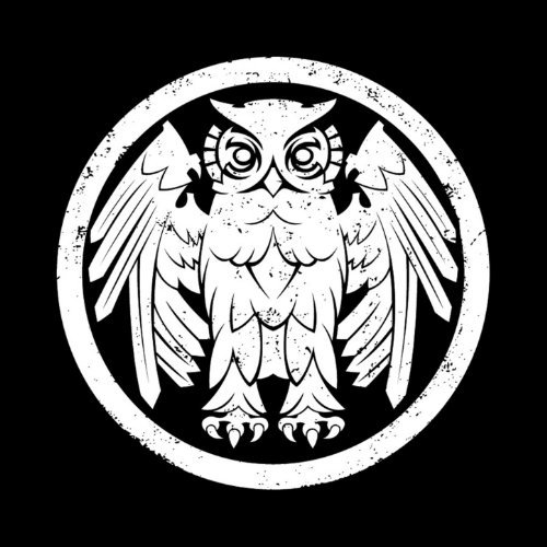 Underneath The Owl by Riverboat Gamblers