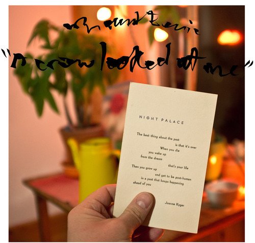 A Crow Looked at Me by Mount Eerie