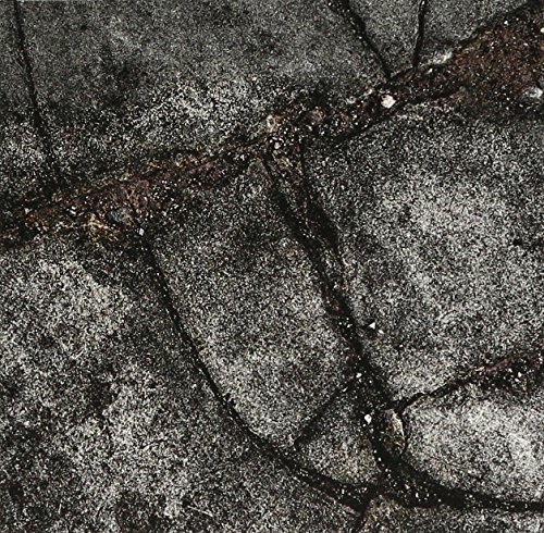 Brood X by Boss Hog Album Cover