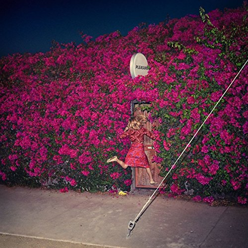 Pleasure by Feist Album Cover