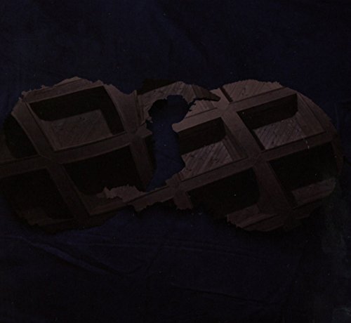 Dirty Projectors by Dirty Projectors Album Cover