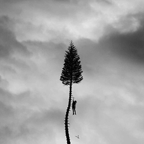 A Black Mile to the Surface by Manchester Orchestra