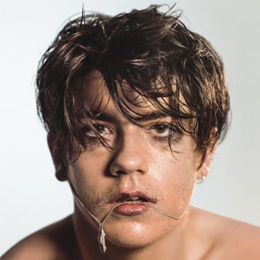 What Do You Think About the Car? by Declan McKenna