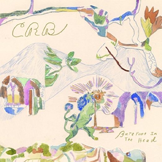 Barefoot in the Head by The Chris Robinson Brotherhood