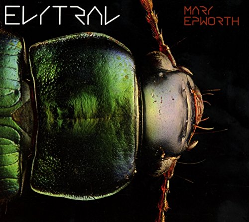 Elytral by Mary Epworth