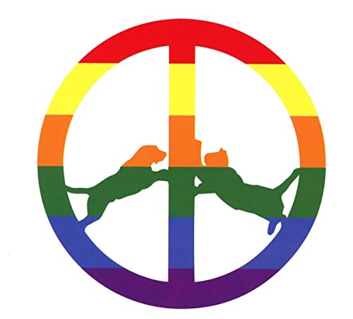 Rainbow Edition by Hype Williams