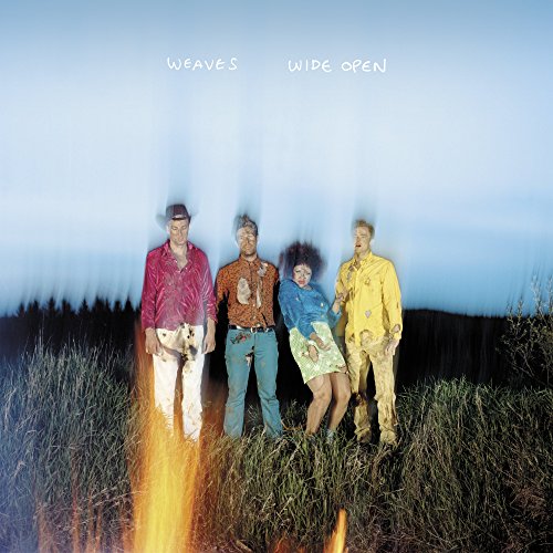 Wide Open by Weaves