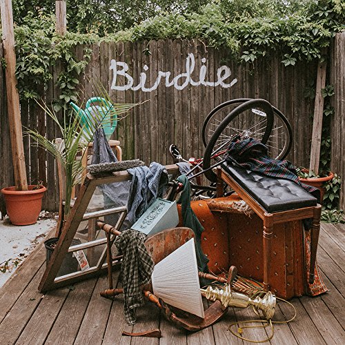 Birdie by Slaughter Beach, Dog Album Cover